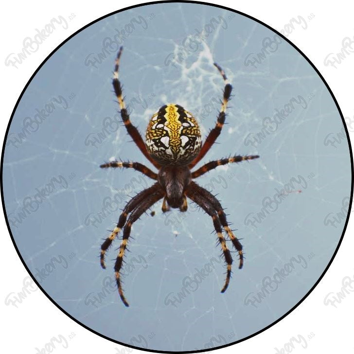 Arañas (Discos 1-8)