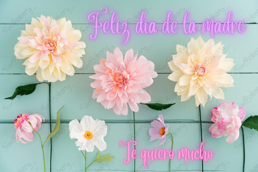 Día de la Madre (Rectángulos)