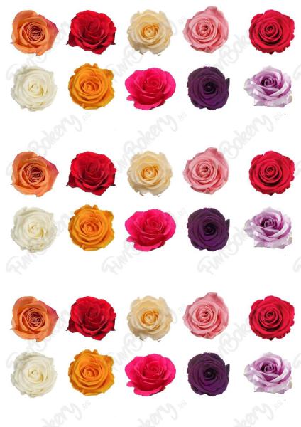 Flores (Magdalenas 1-10)