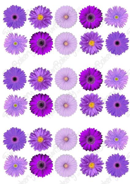 Flores (Magdalenas 1-10)