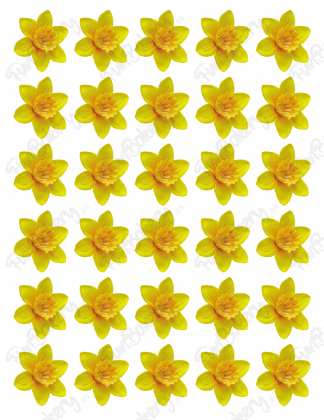 Flores (Magdalenas 11-20)