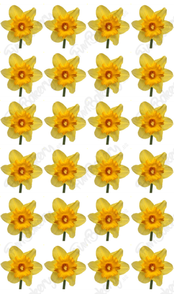 Flores (Magdalenas 11-20)
