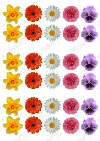 Flores (Magdalenas 11-20)