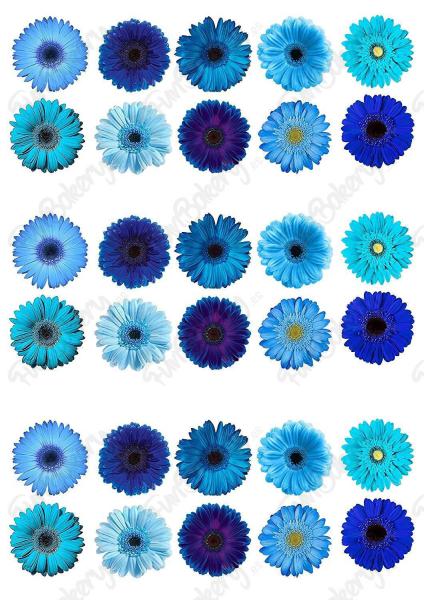 Flores (Magdalenas 1-10)