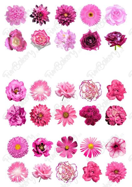 Flores (Magdalenas 11-20)