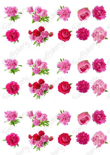 Flores (Magdalenas 11-20)
