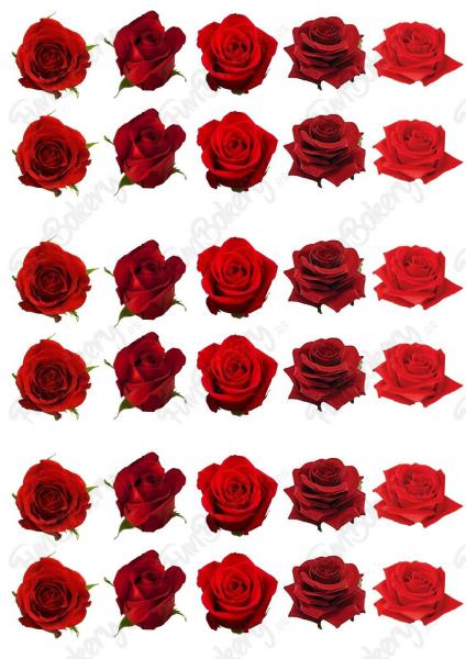Flores (Magdalenas 11-20)