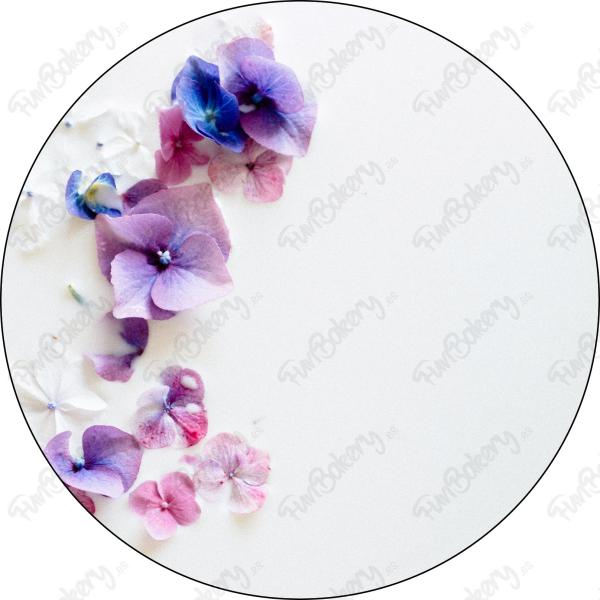 Flores (Discos 1-8)