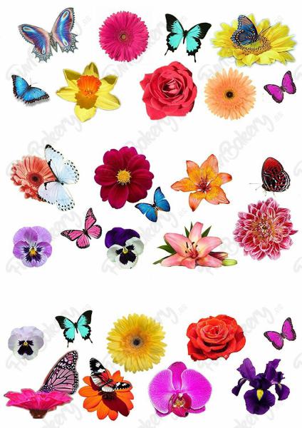 Flores (Magdalenas 1-10)
