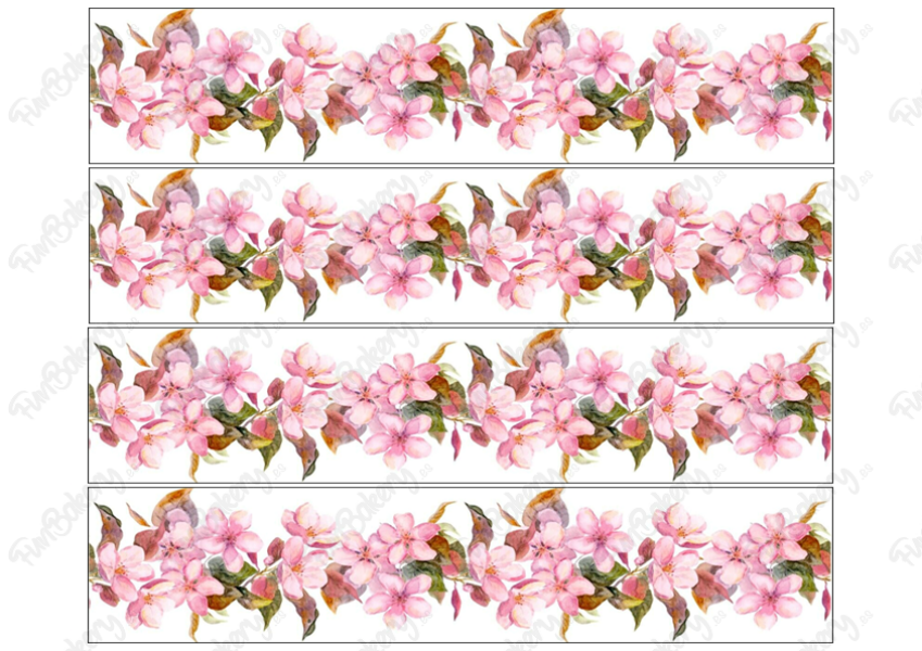 Flores (Cintas 1-5)