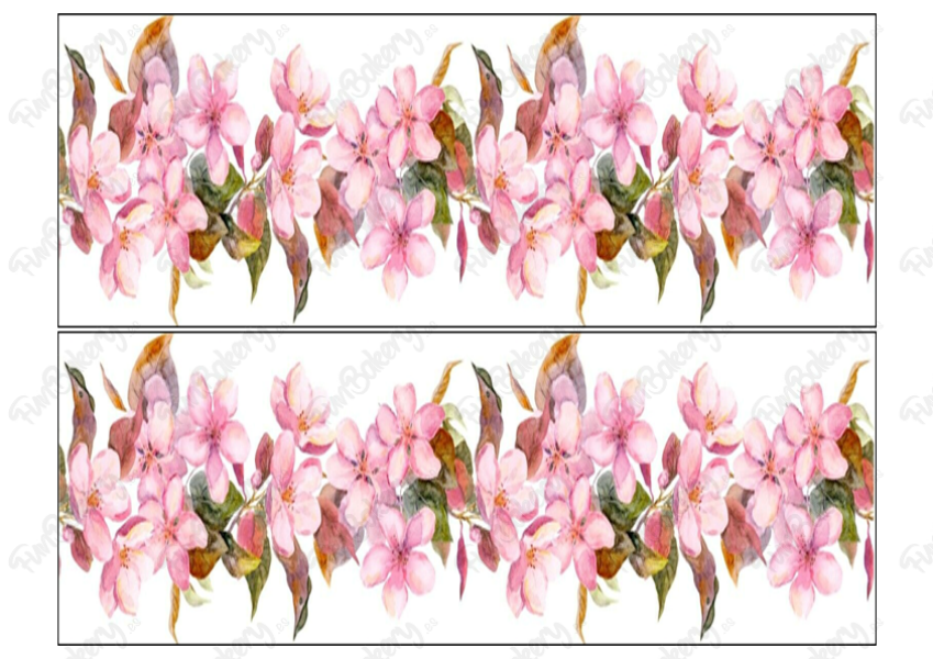 Flores (Cintas 1-5)