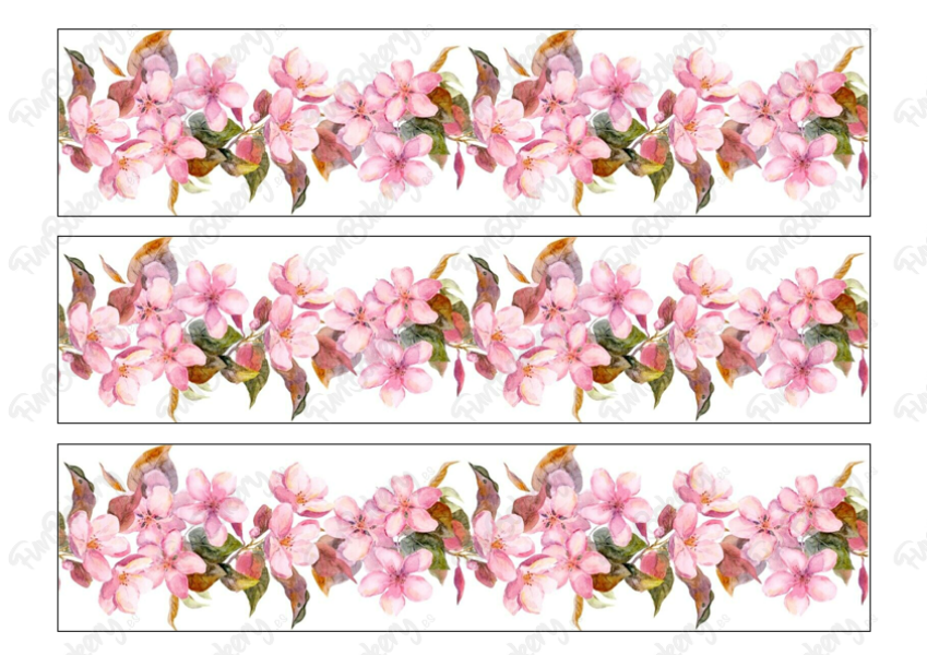 Flores (Cintas 1-5)