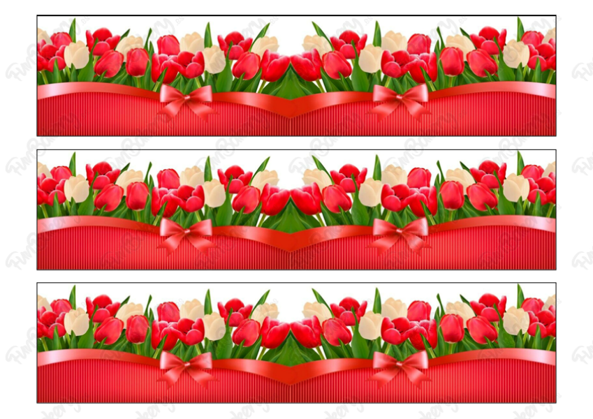 Flores (Cintas 1-5)