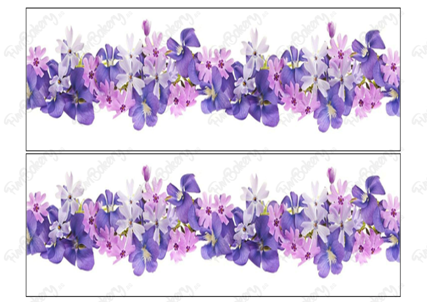 Flores (Cintas 6-10)