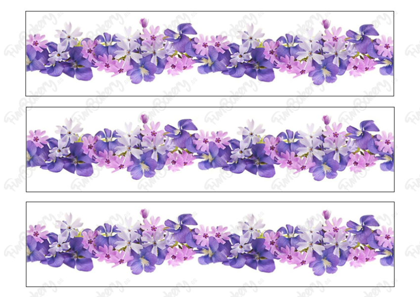Flores (Cintas 6-10)