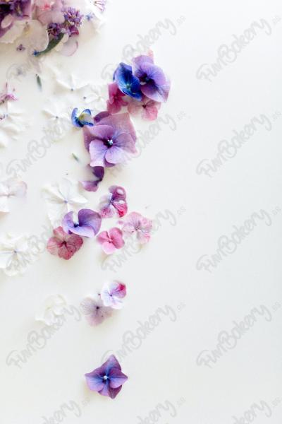 Flores (Rectángulos 1-6)