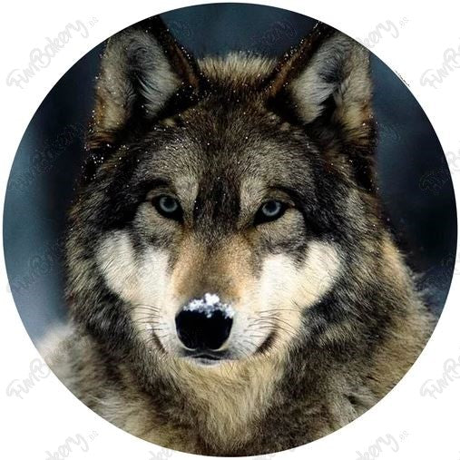 Lobos (Discos 1-8)