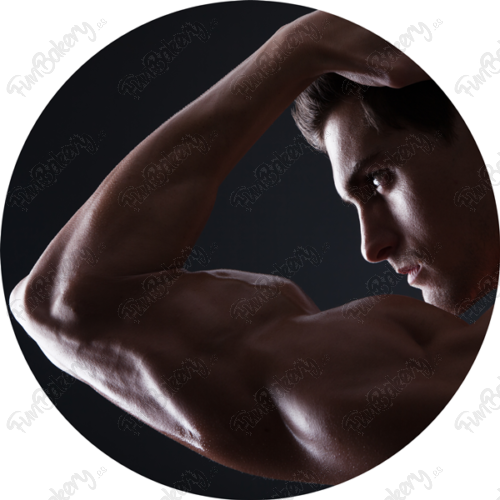 Exótico (Discos 9-15)