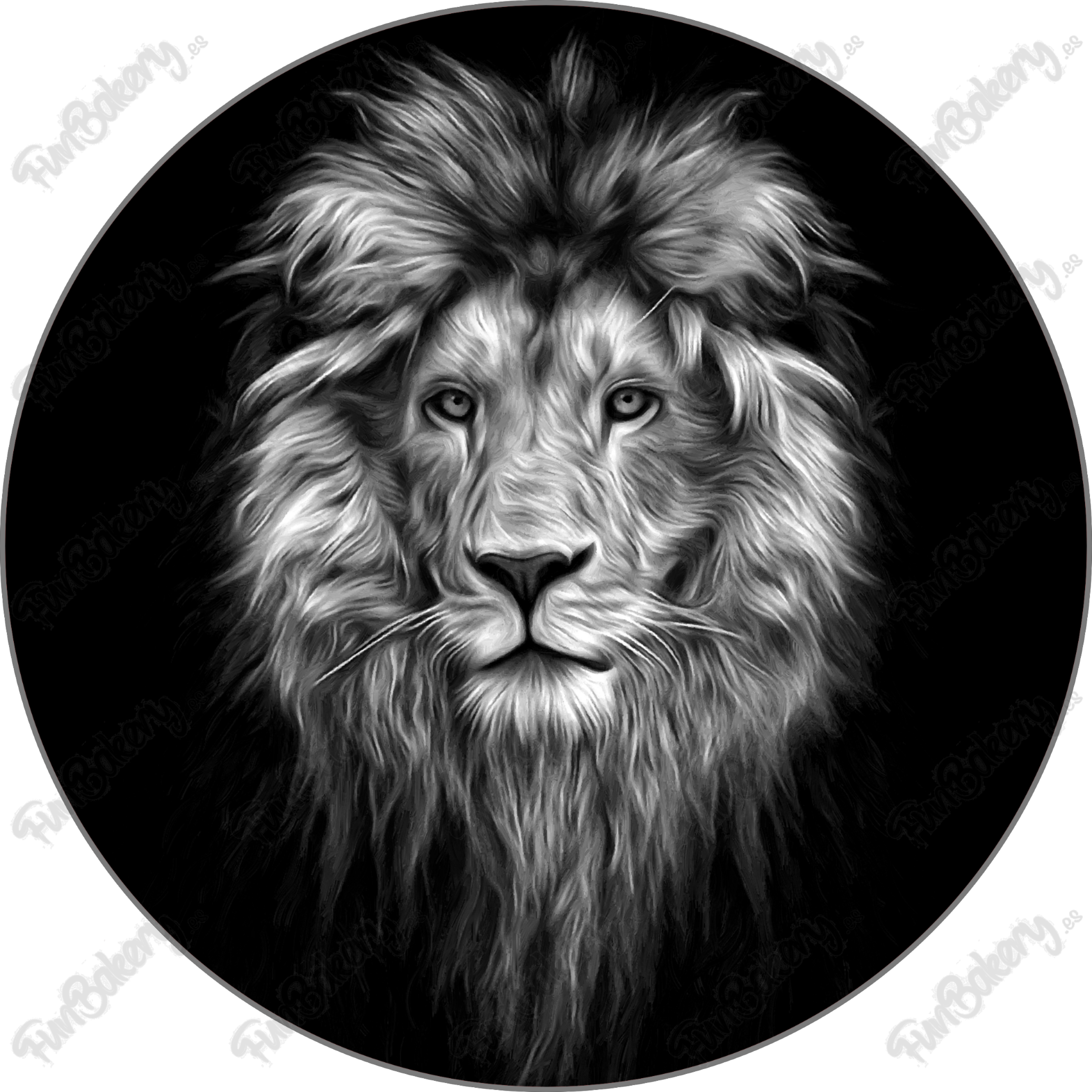 Leones (Discos 9-13)