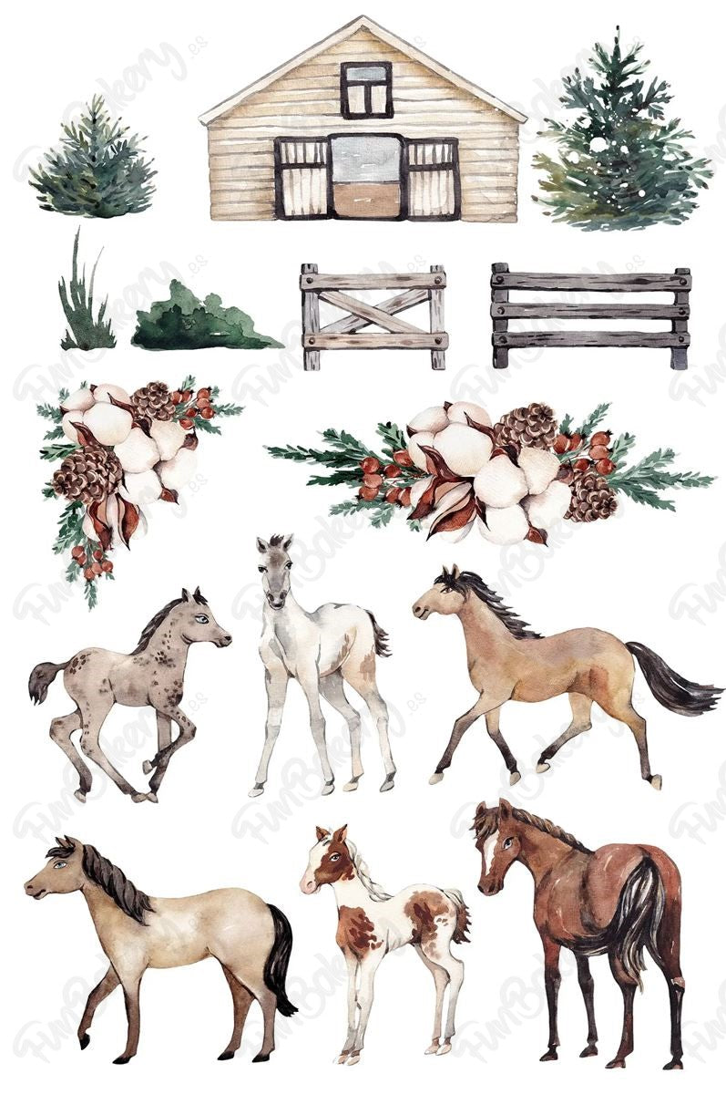 Caballos (Magdalenas)