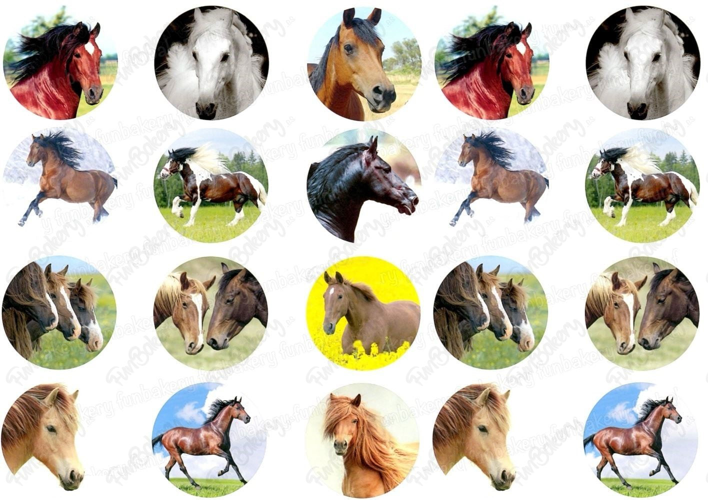 Caballos (Magdalenas)