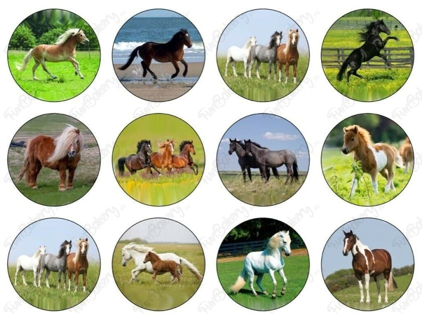 Caballos (Magdalenas)