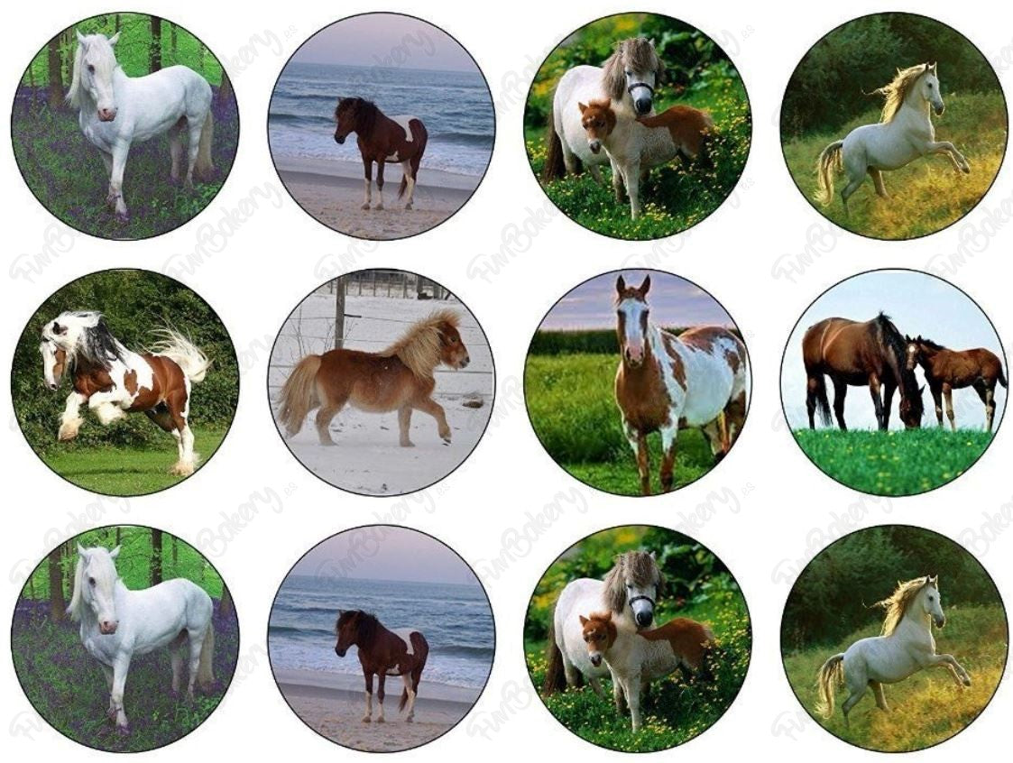 Caballos (Magdalenas)