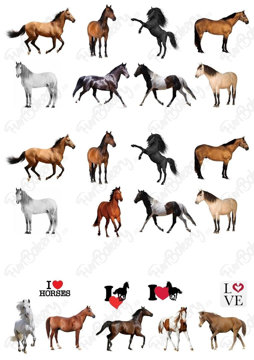Caballos (Magdalenas)