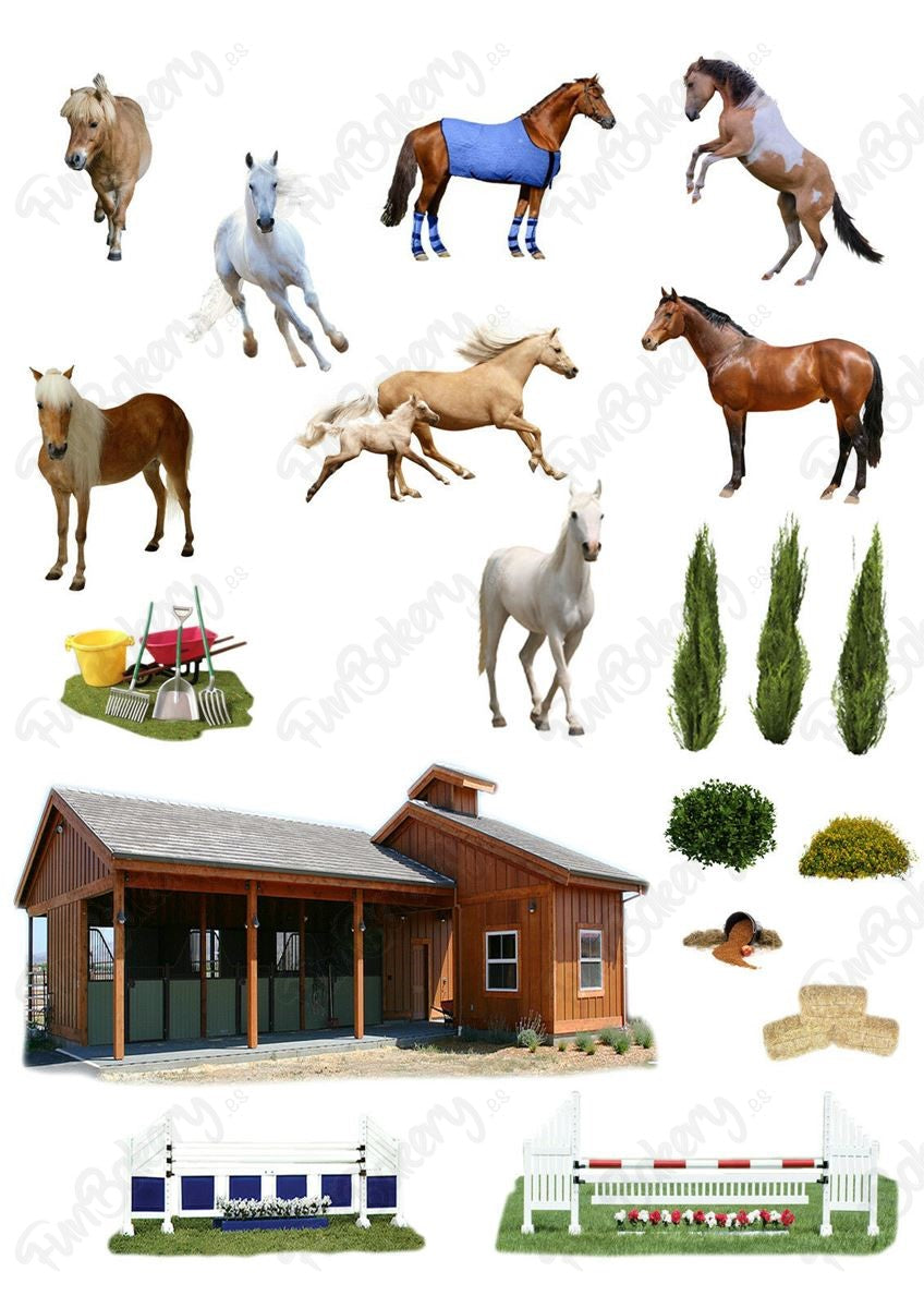Caballos (Magdalenas)