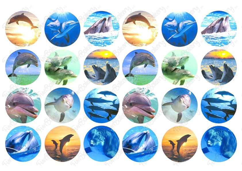Delfines (Magdalenas)