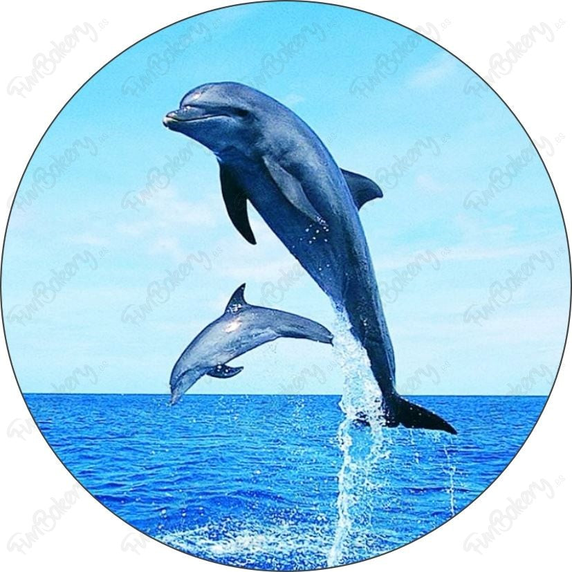Delfines (Discos)
