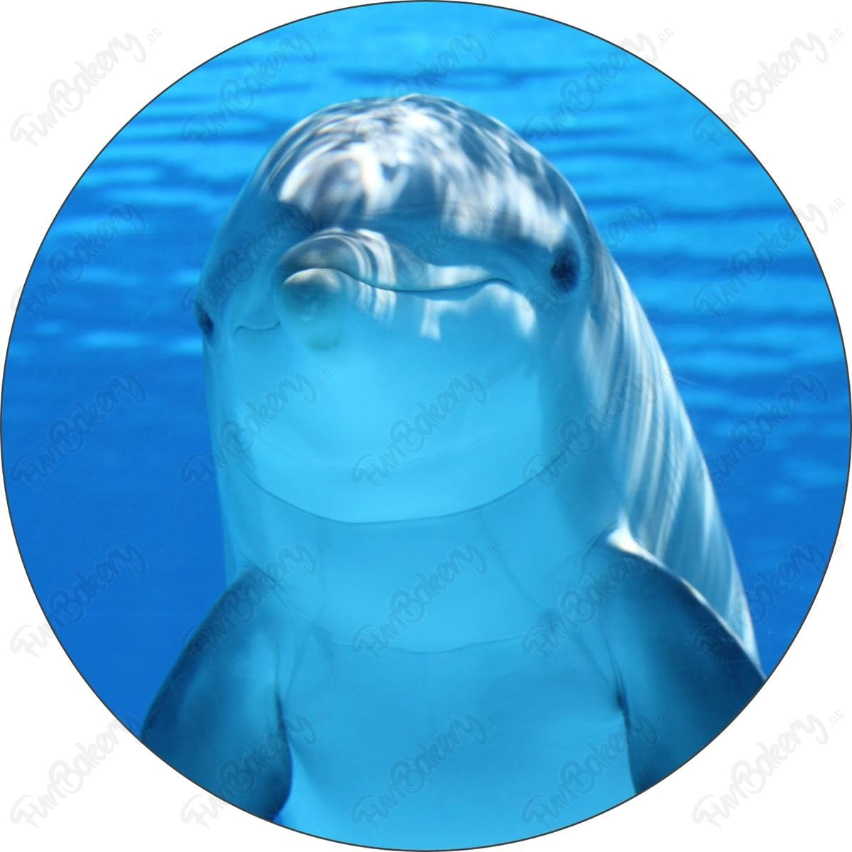 Delfines (Discos)