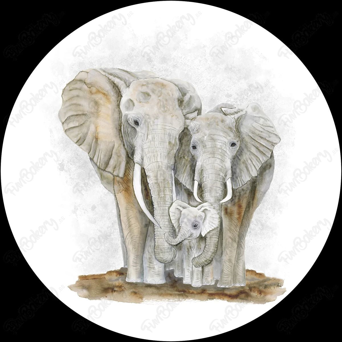 Elefantes (Discos 9-14)