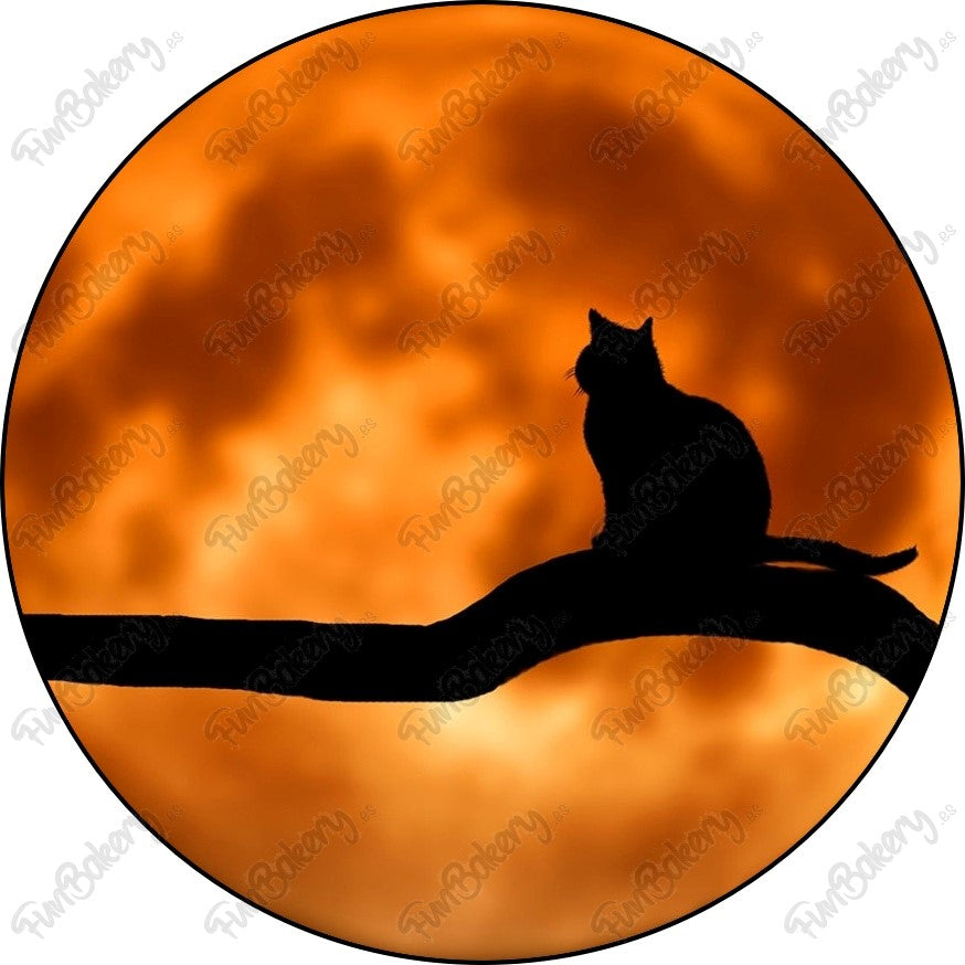 Gatos (Discos 1-8)