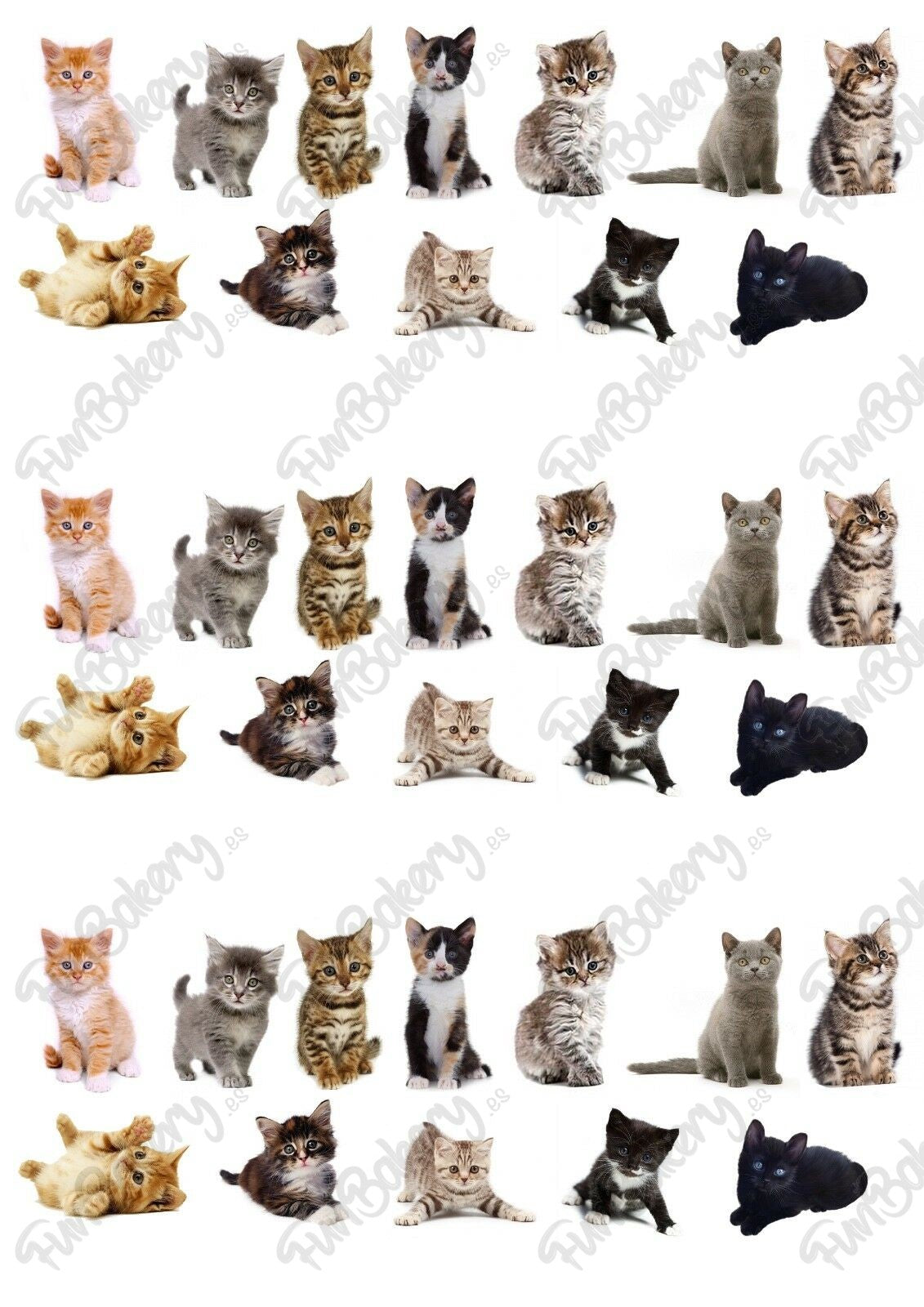 Gatos (Magdalenas)