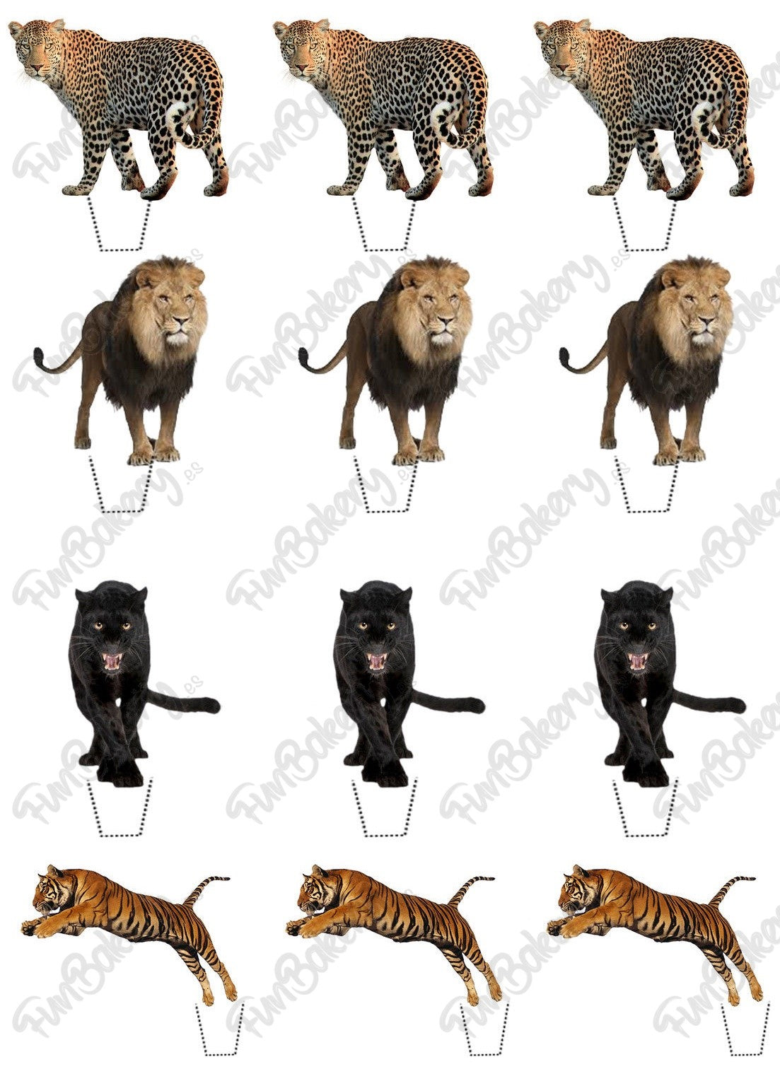 Gatos (Magdalenas)