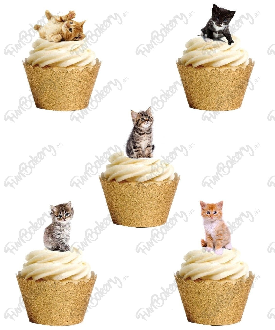 Gatos (Magdalenas)
