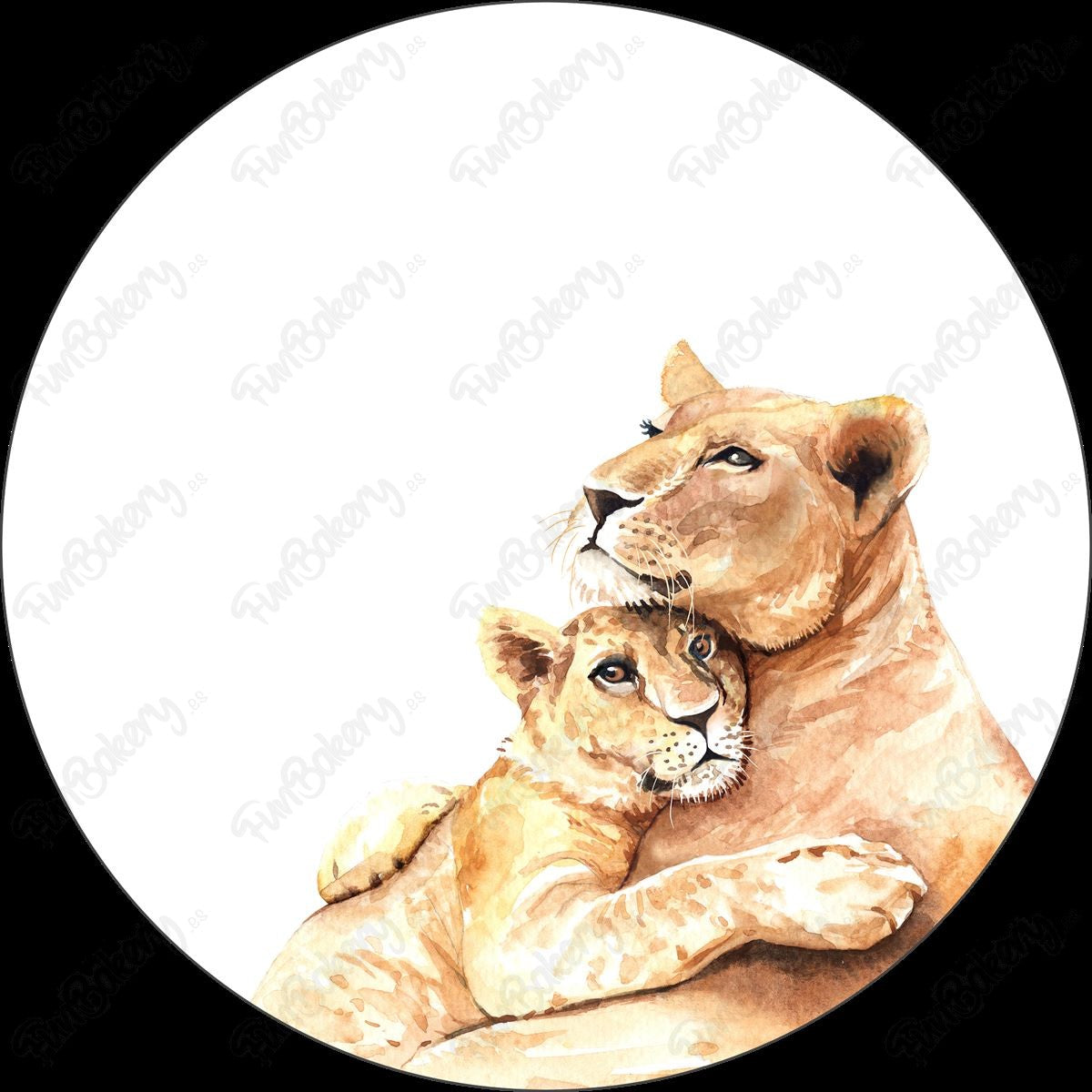 Leones (Discos 9-13)