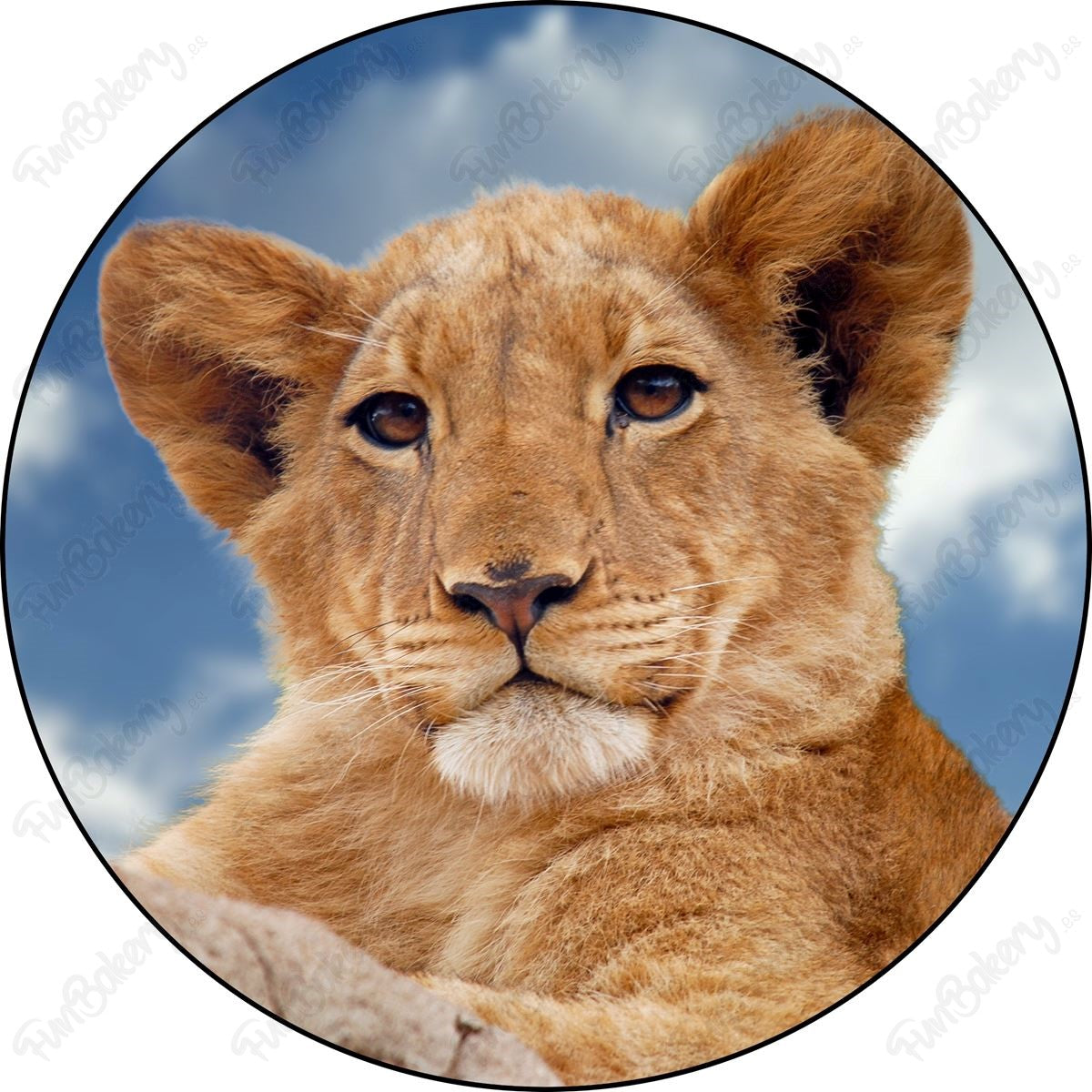 Leones (Discos 1-8)