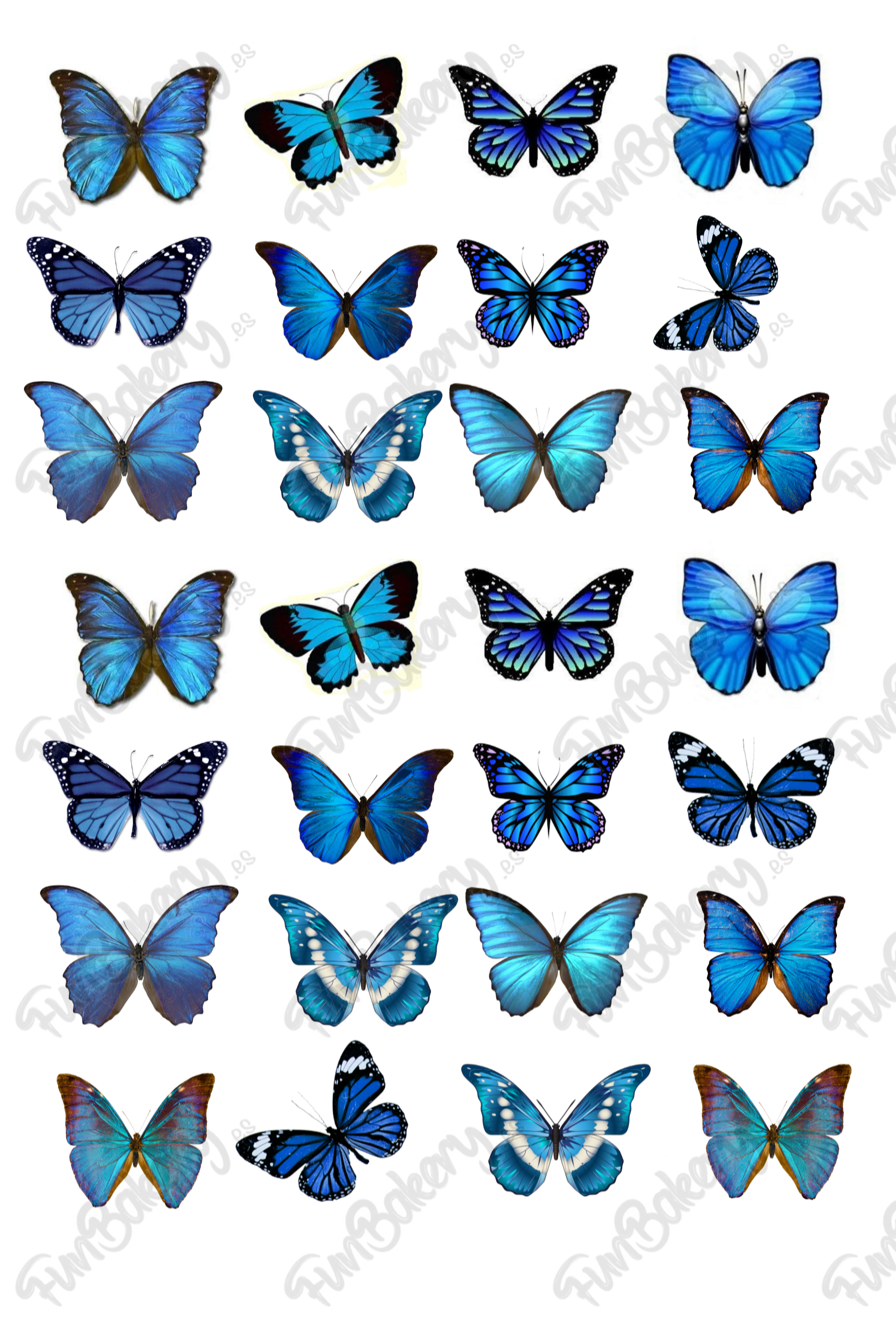Mariposas