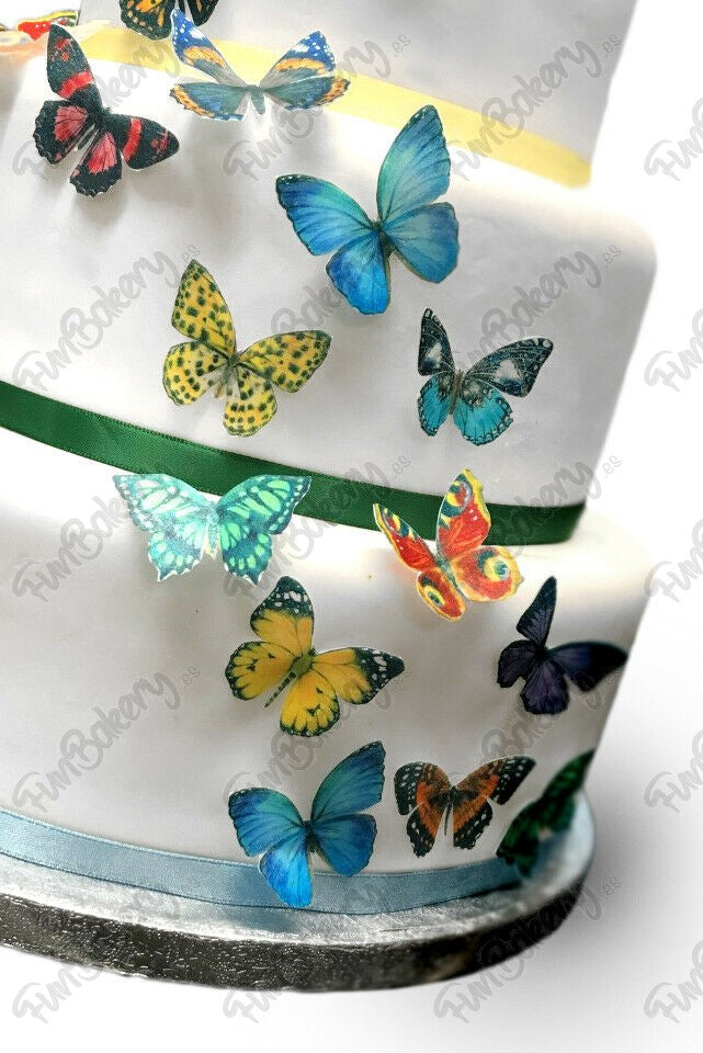 Mariposas