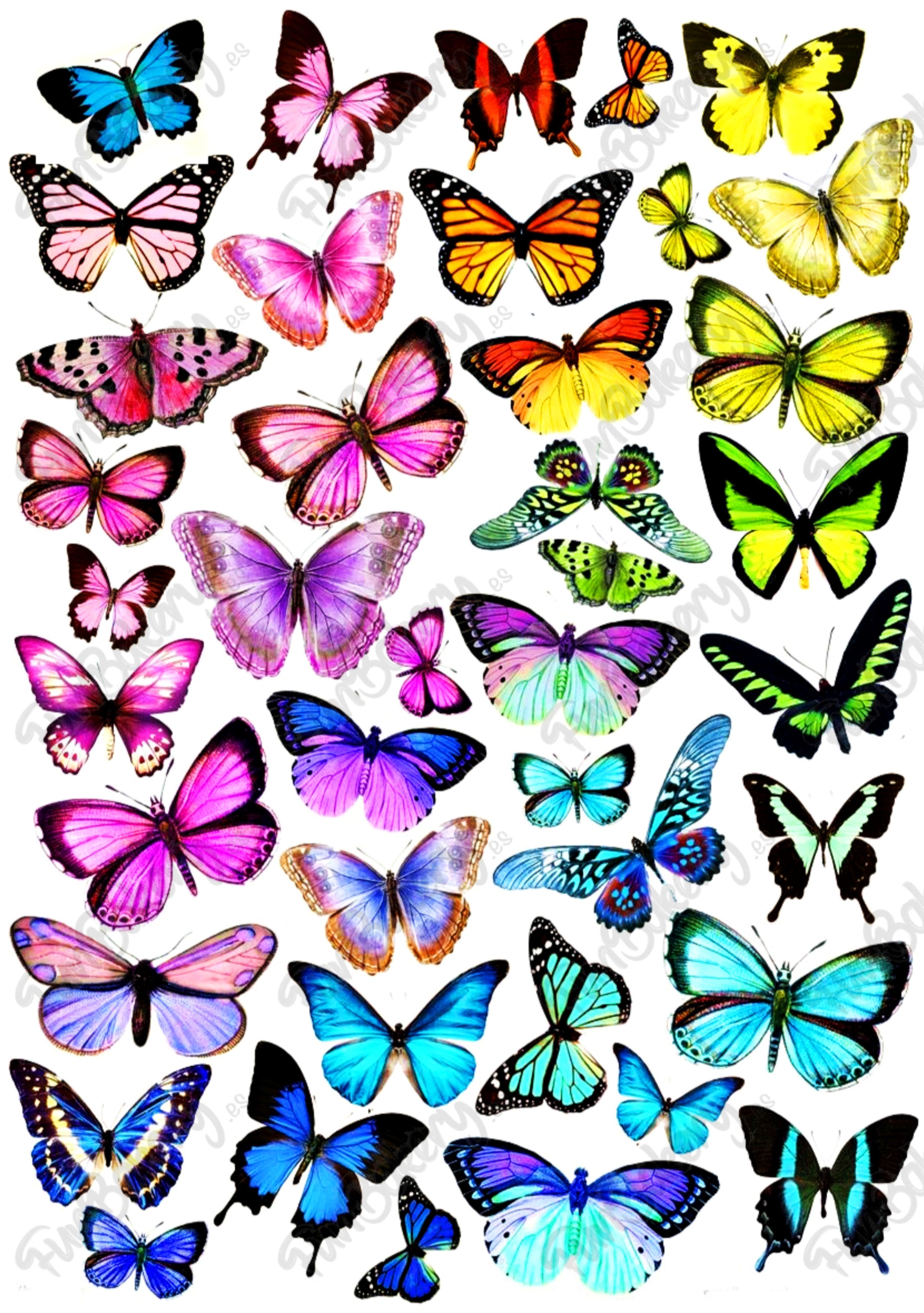 Mariposas
