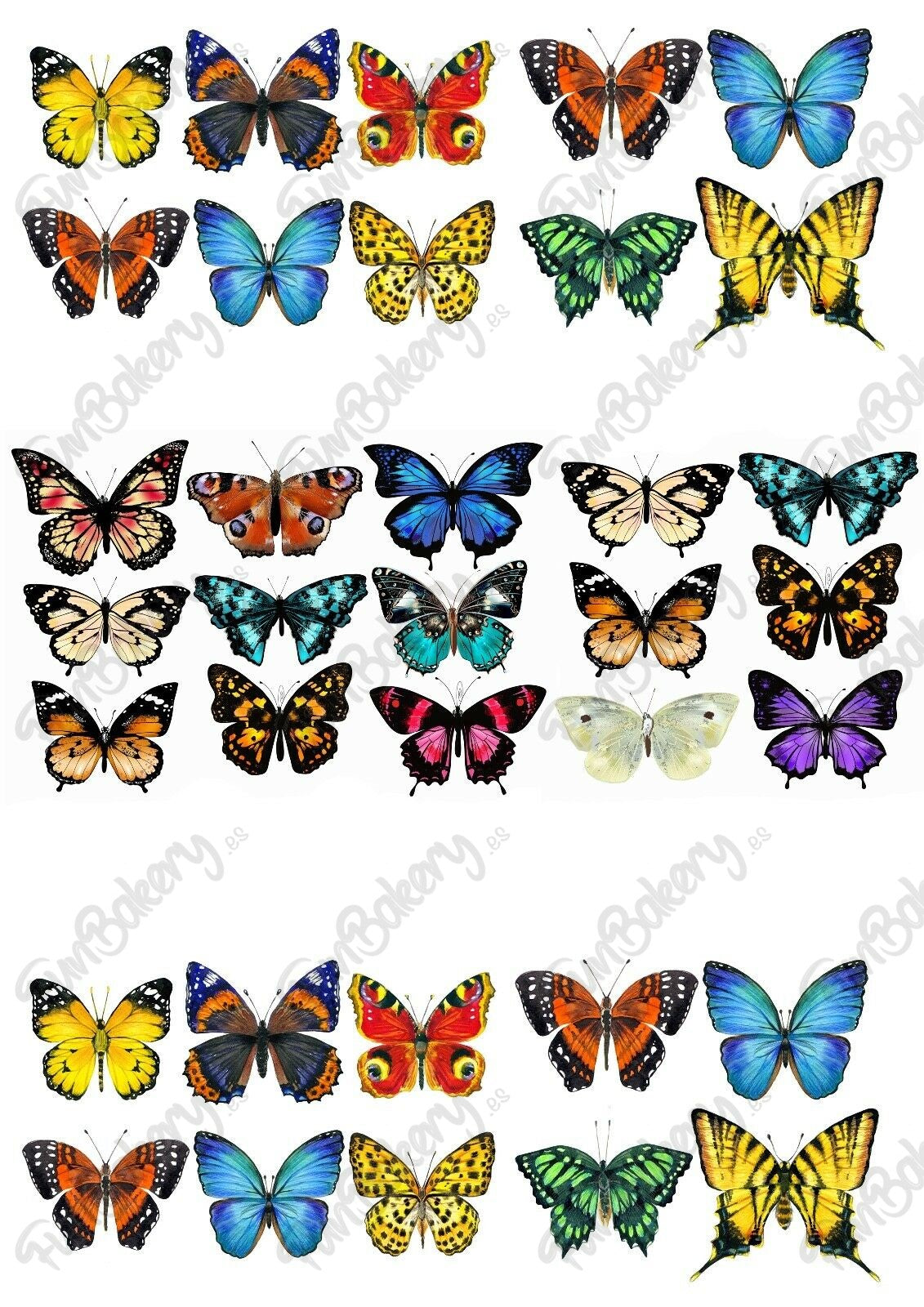 Mariposas