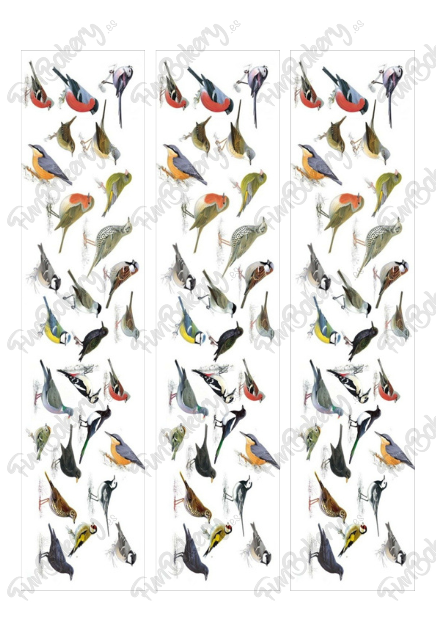 Pájaros
