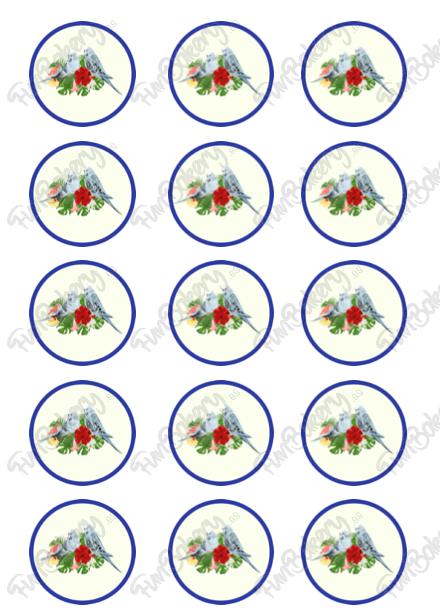 Pájaros