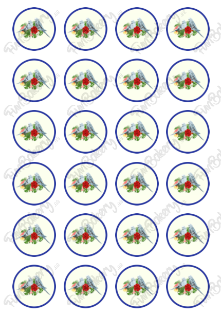 Pájaros
