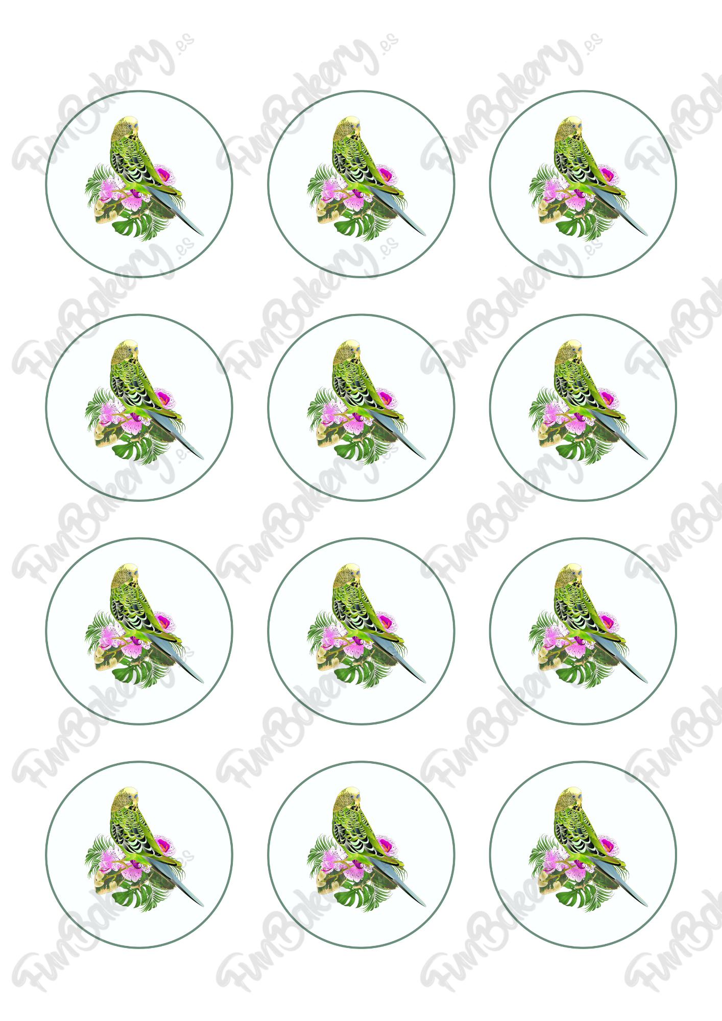 Pájaros