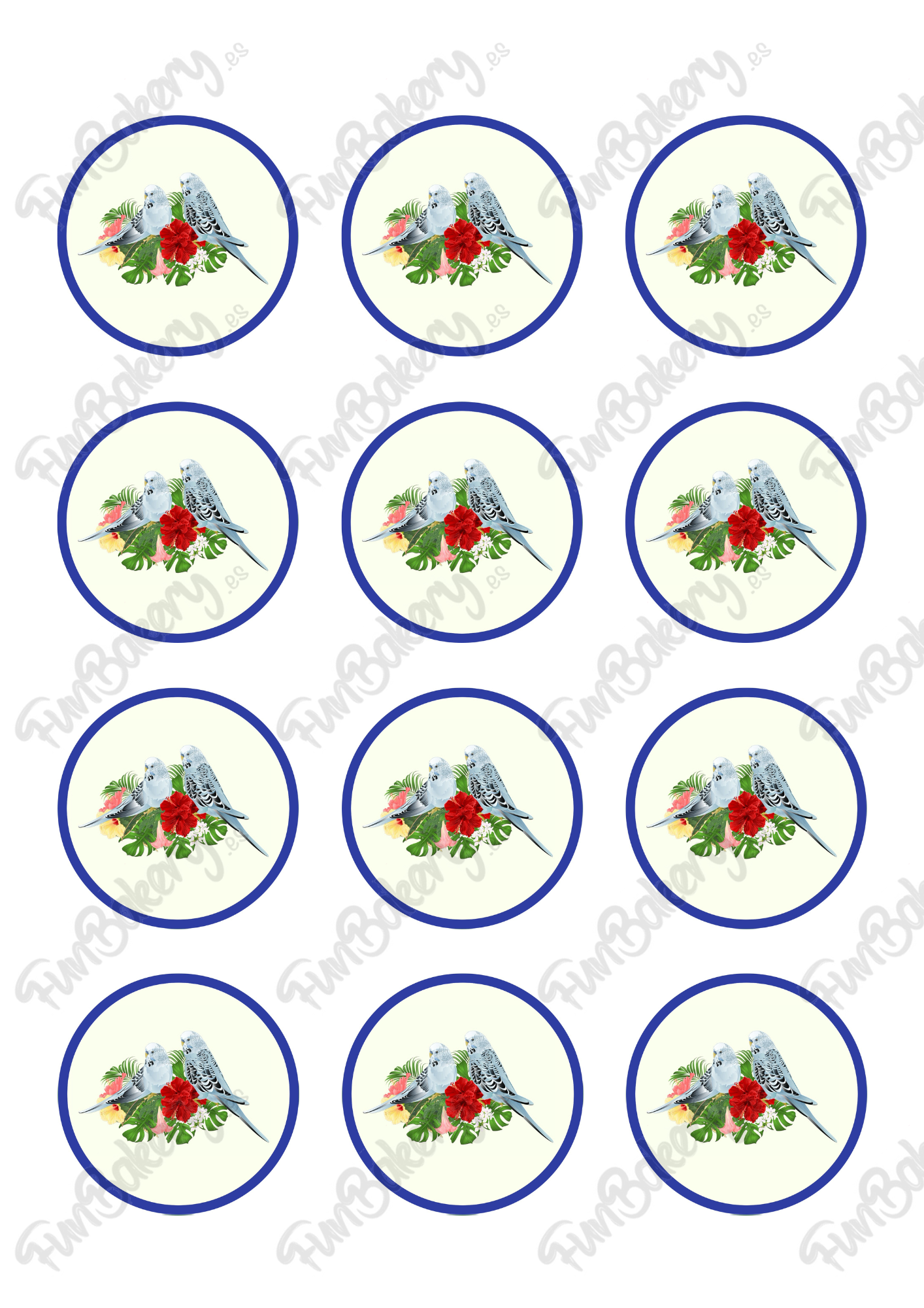 Pájaros