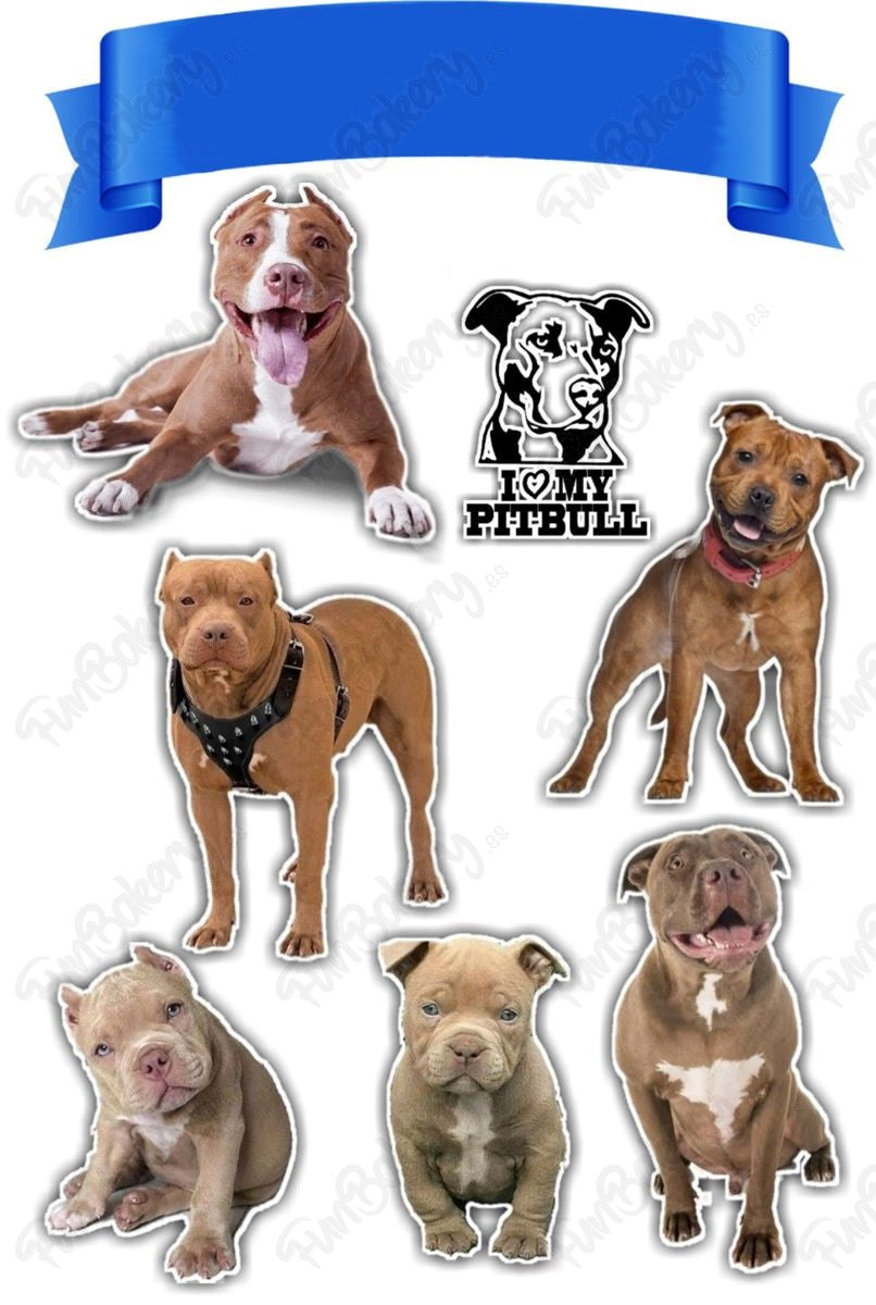 Perros (Magdalenas)
