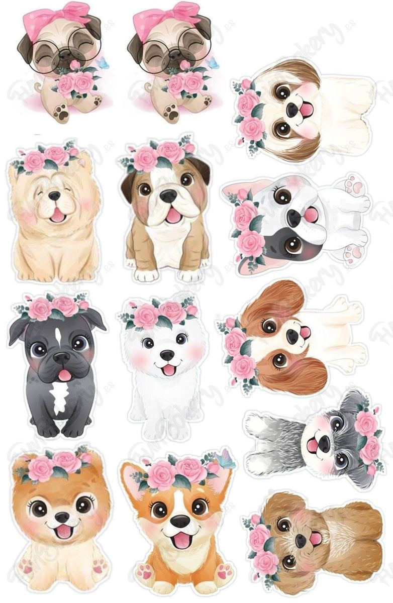 Perros (Magdalenas)